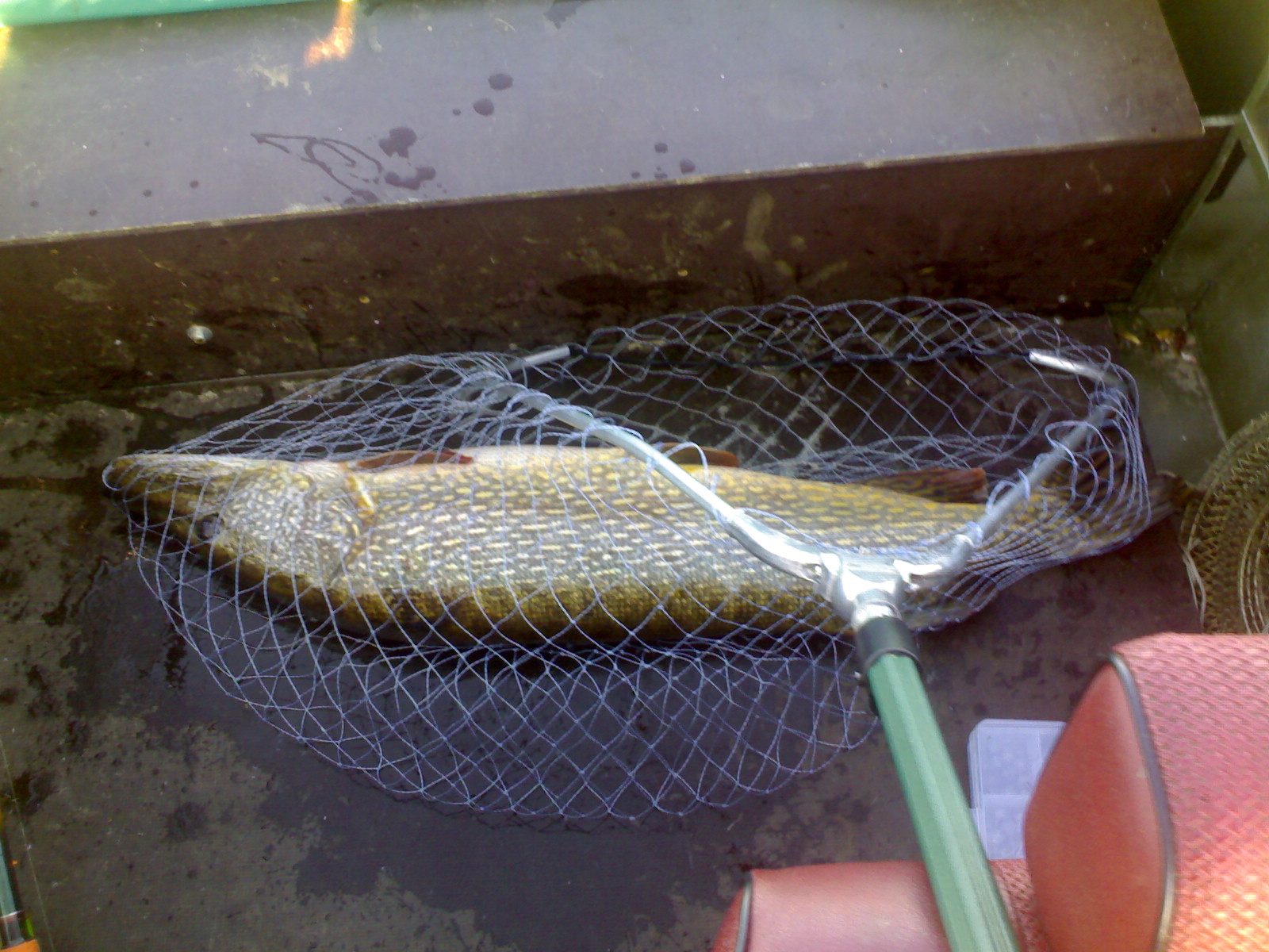 008.jpg