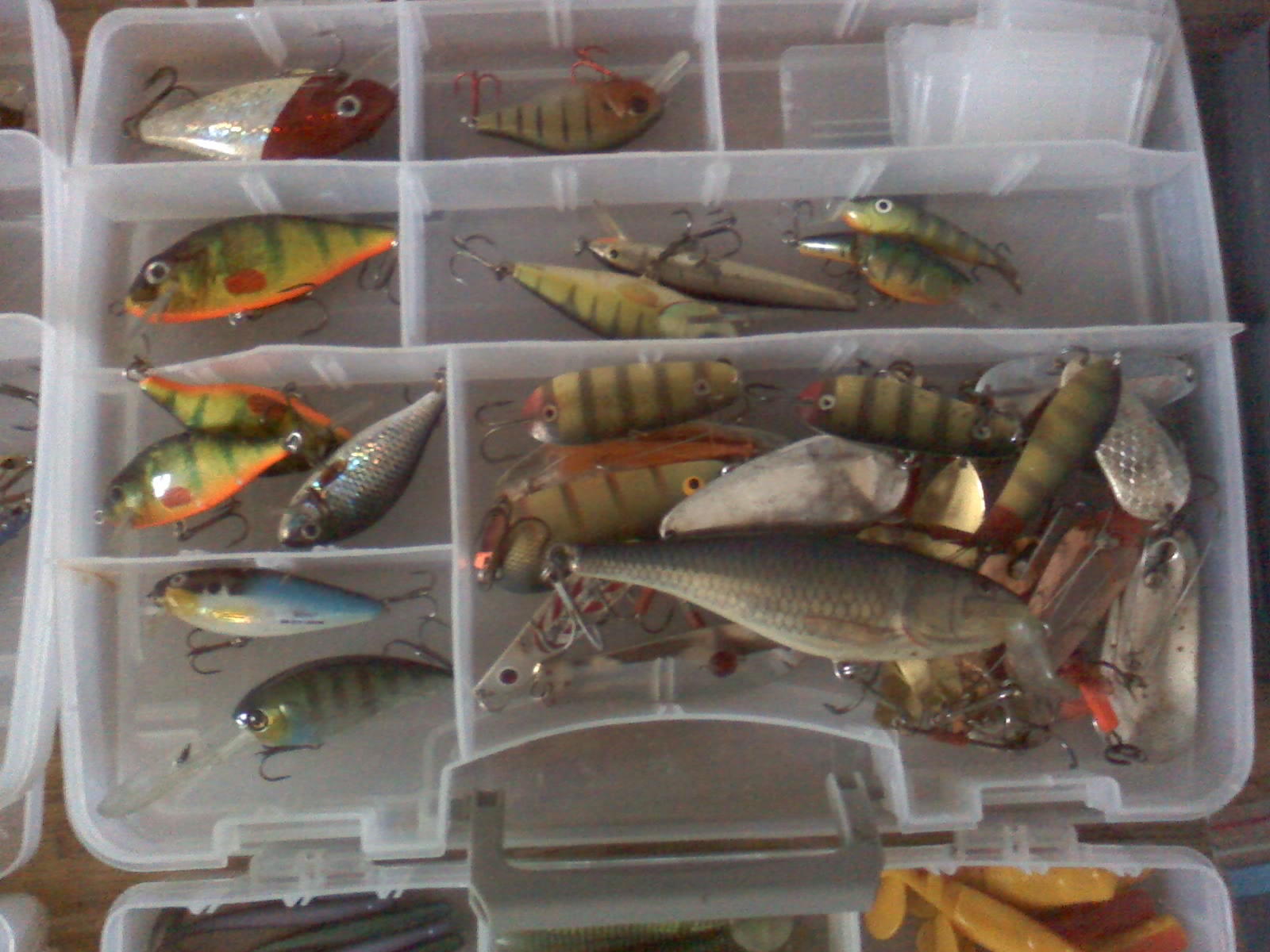 01-08-14_1429.jpg