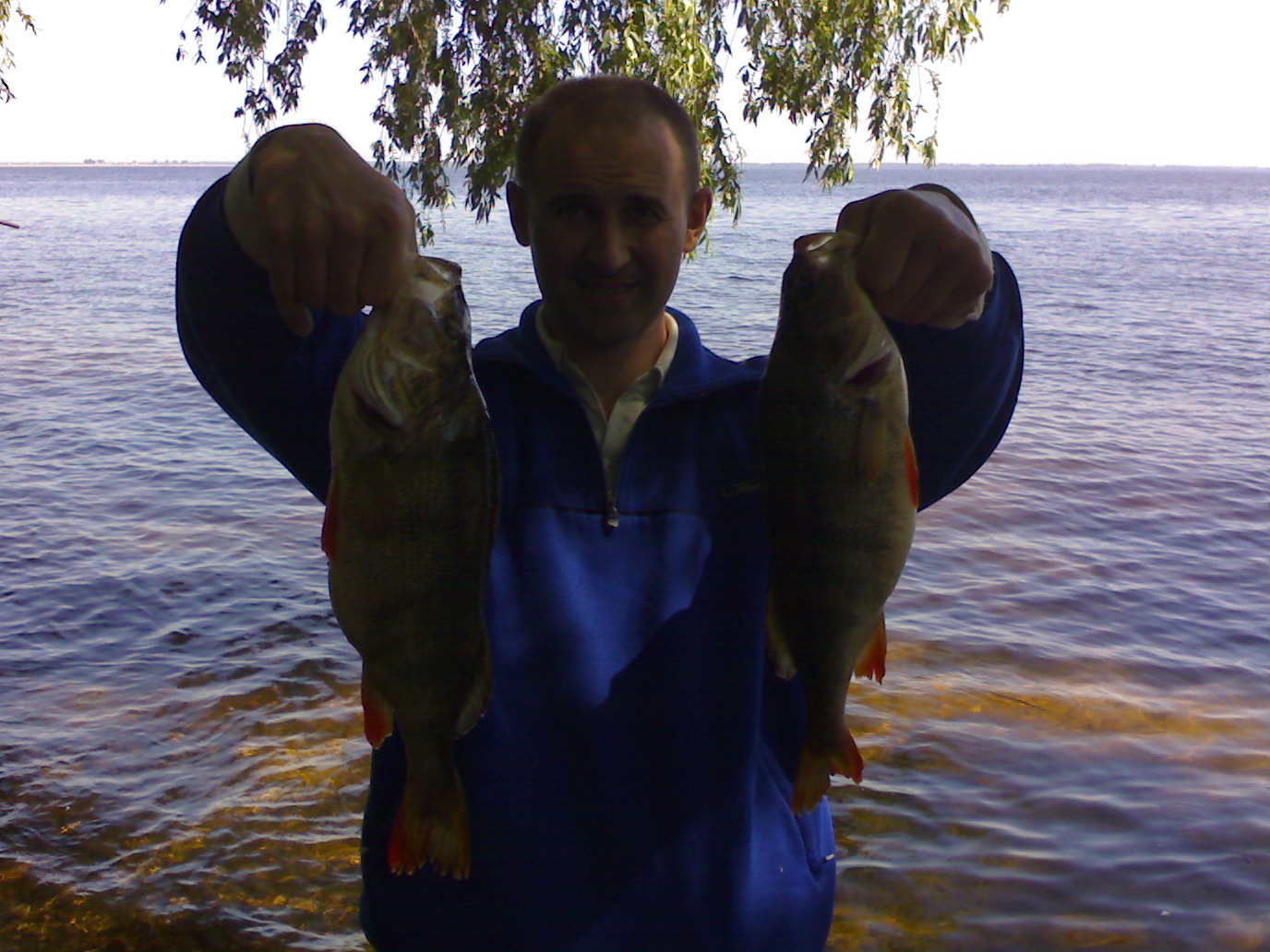 02062011332.jpg