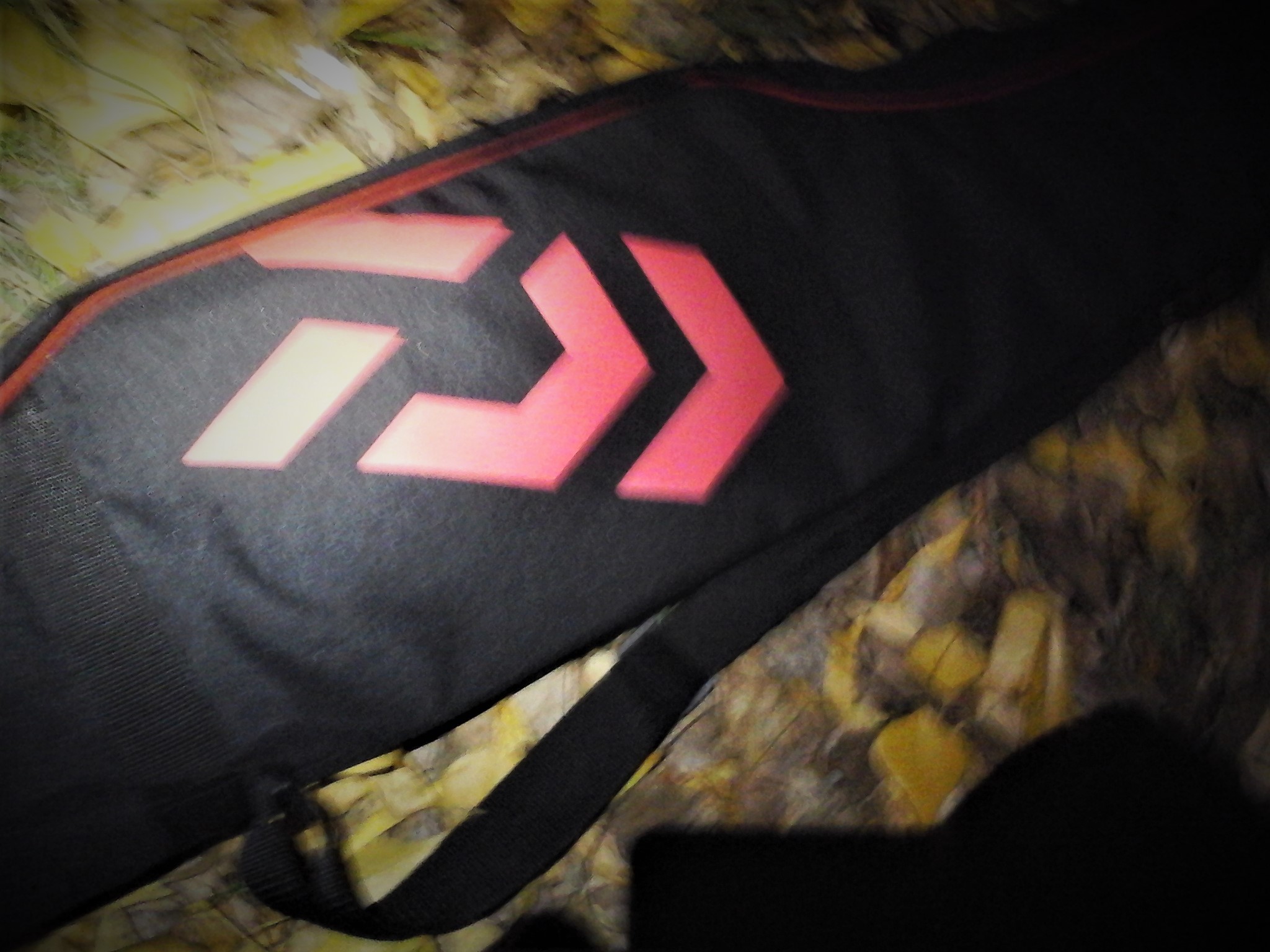 0209.jpg