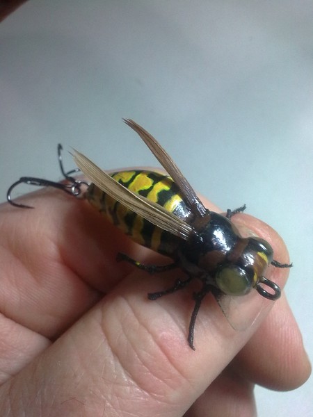 0229 (Копировать).jpg