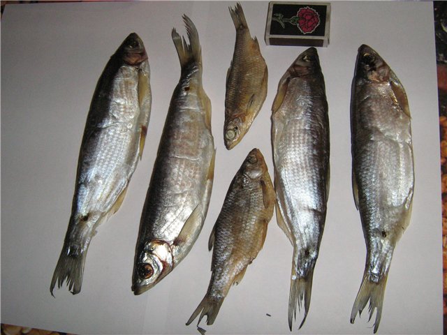 0562f16248fd.jpg