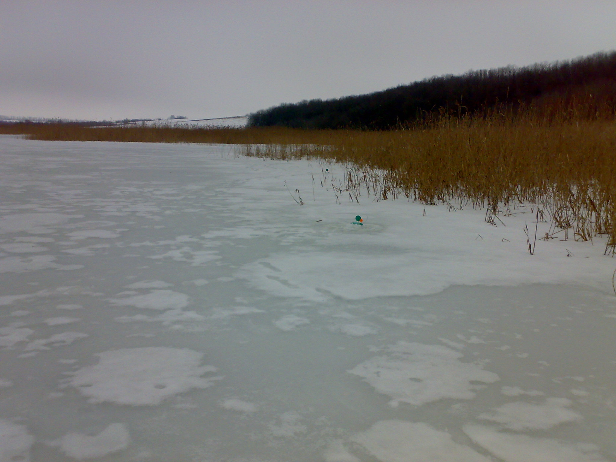 08012010210.jpg