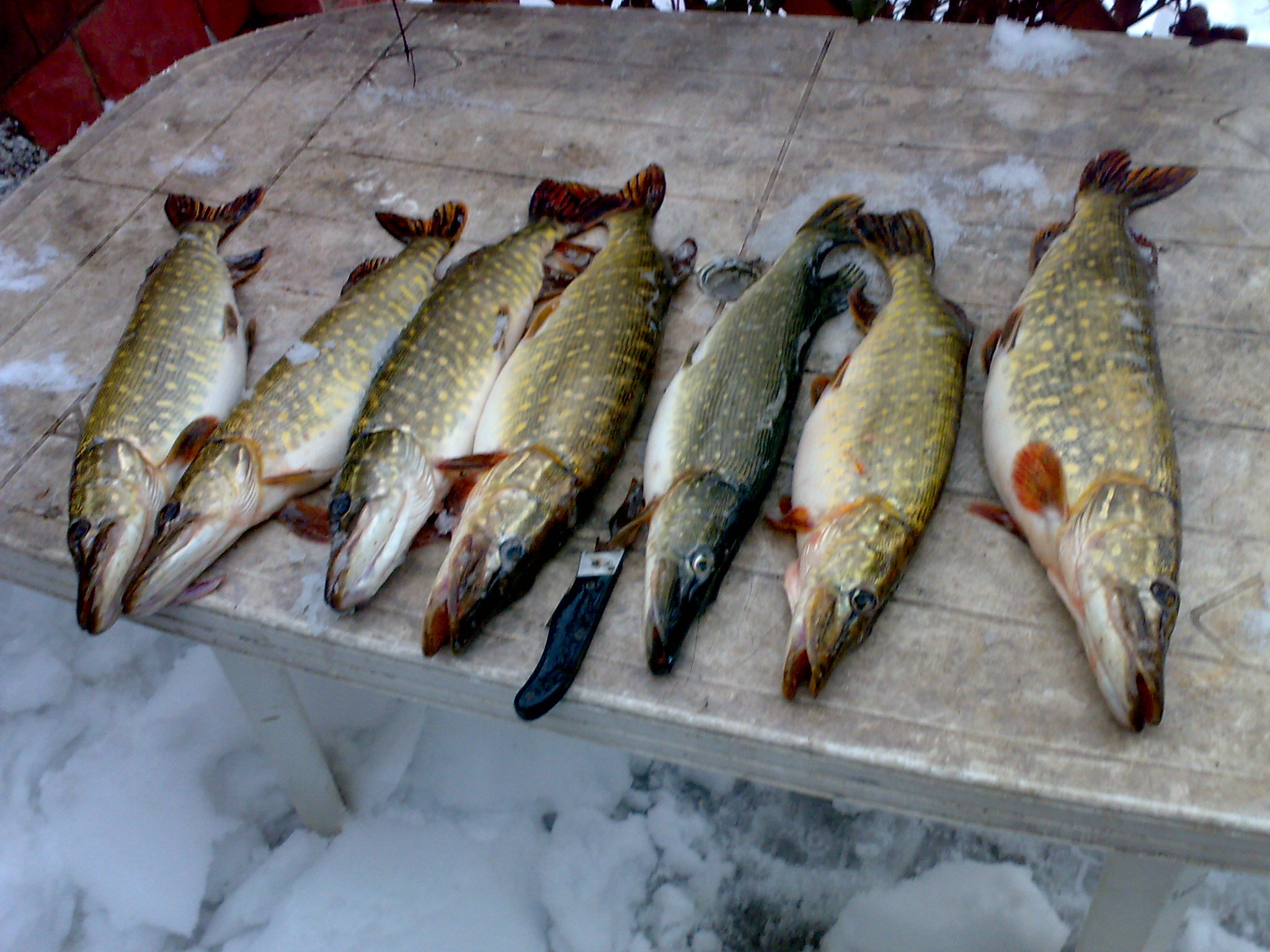 08012010211.jpg
