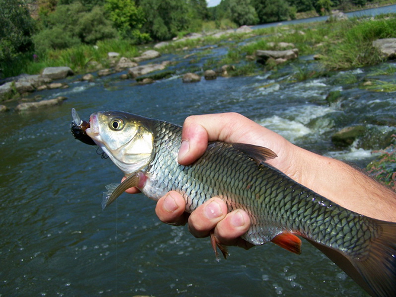 100_0350 1.jpg