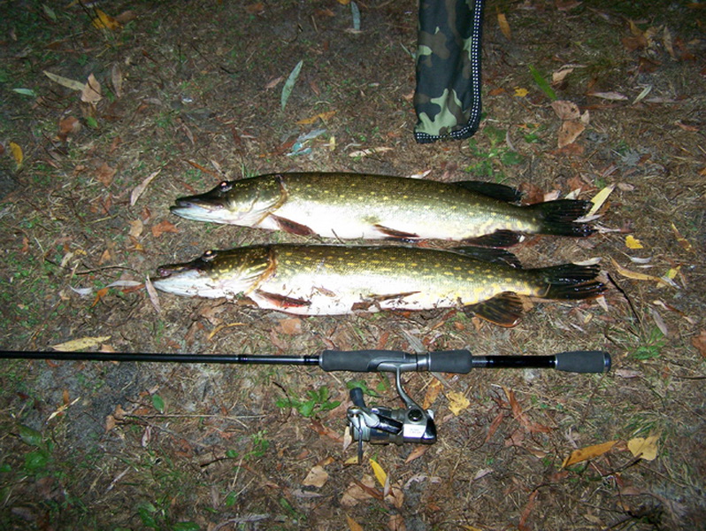 100_0489 1.jpg