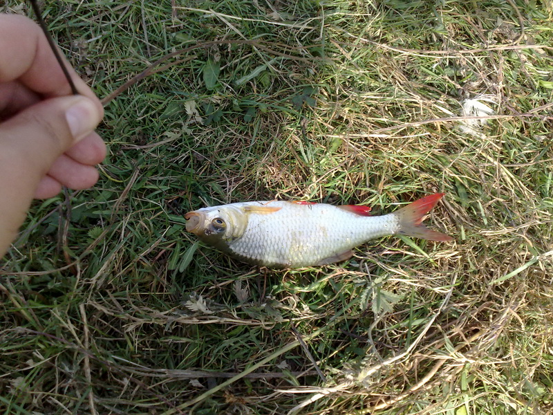 10102009292.jpg