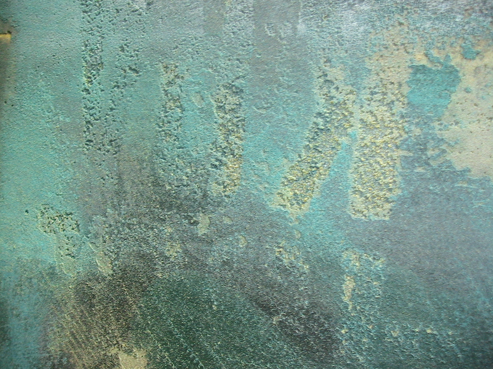111.jpg