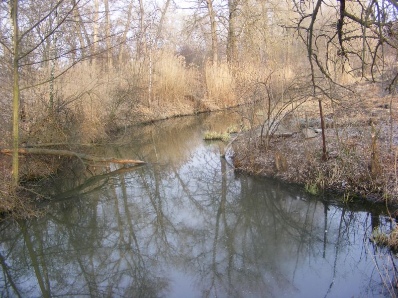 121.jpg