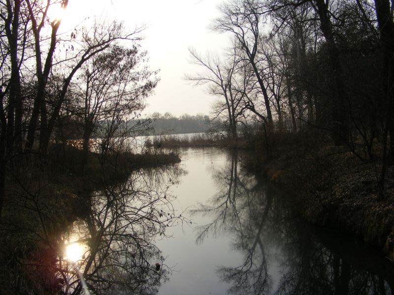 122.jpg