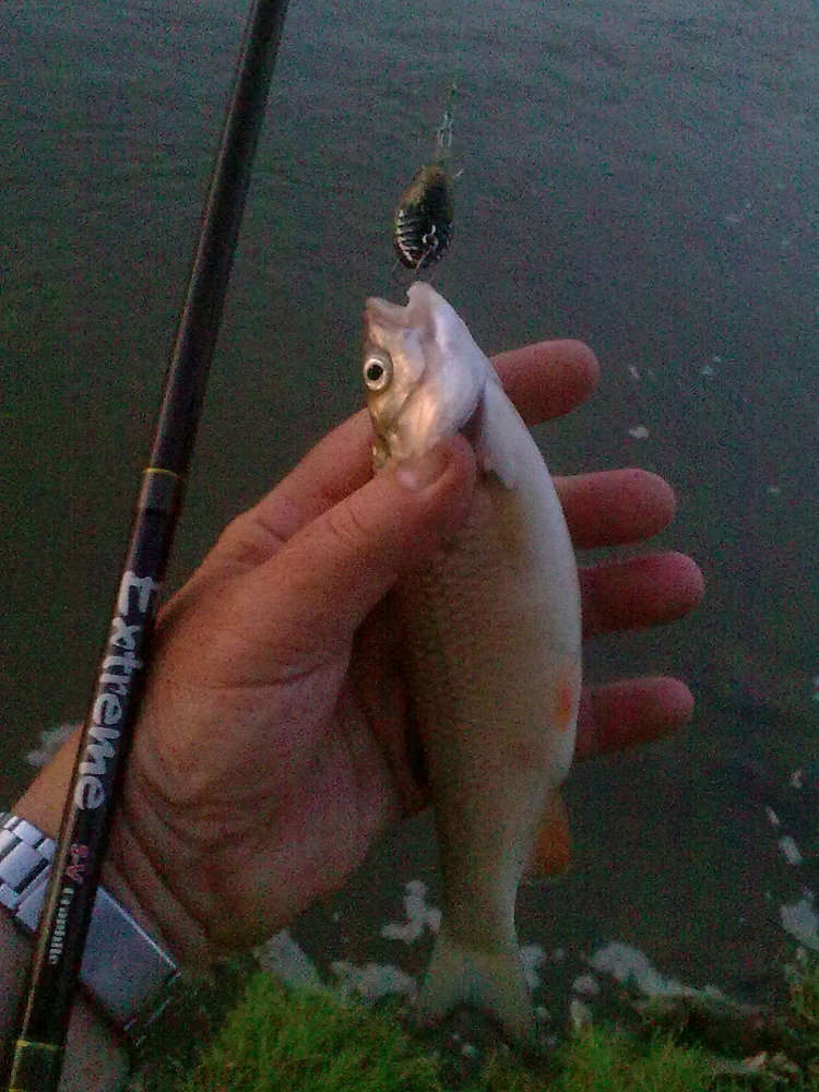 1254.jpg