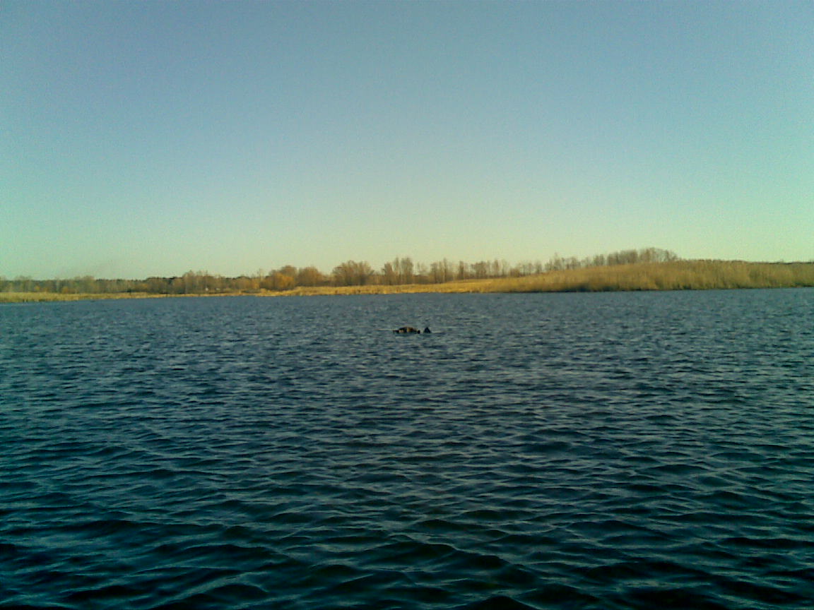 13112010(000).jpg
