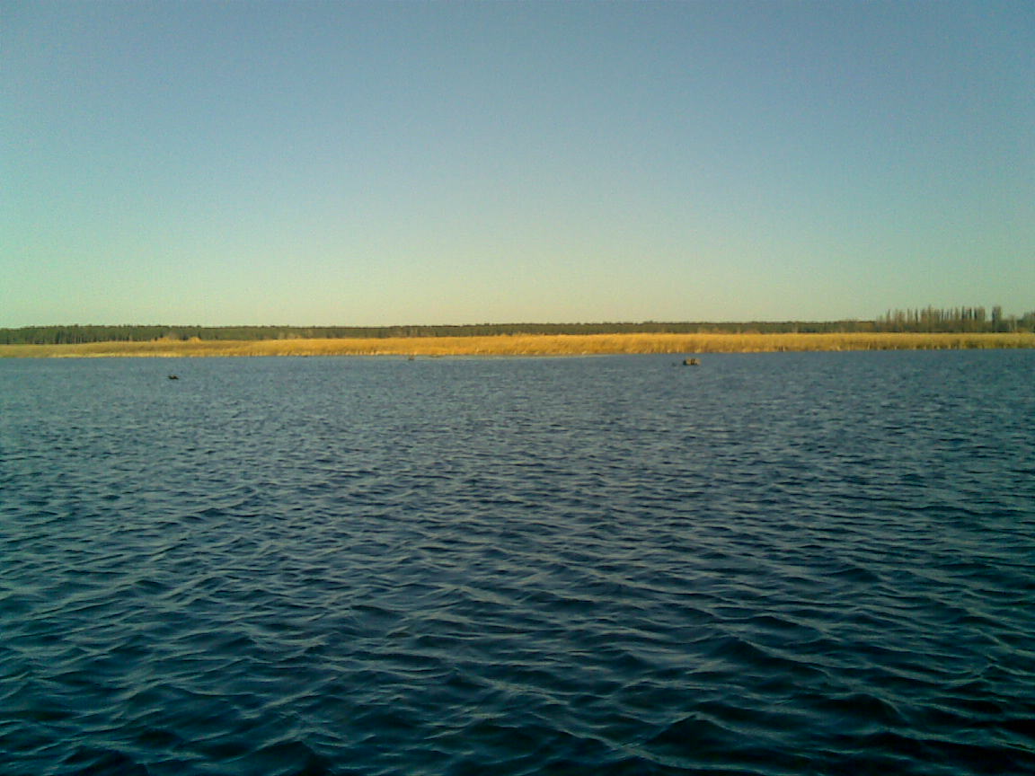 13112010(001).jpg