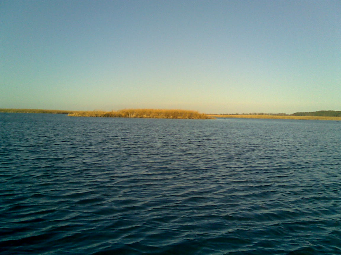 13112010(002).jpg