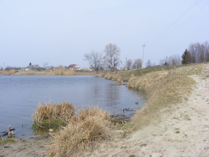 141.jpg