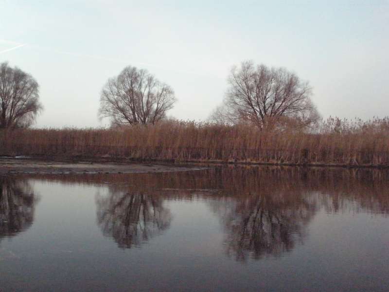 151_small1.jpg