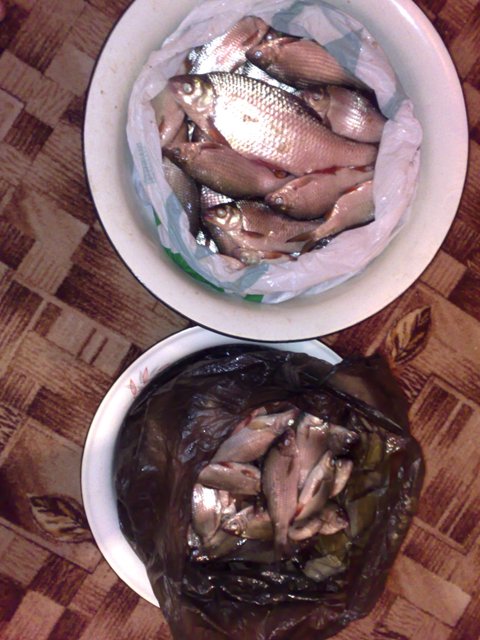 16012009638.jpg