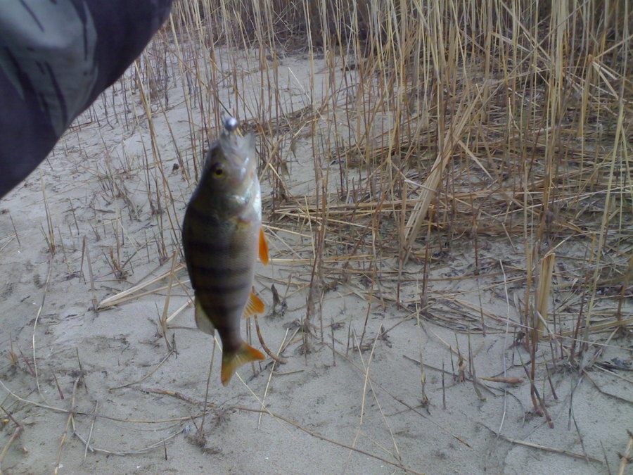 16042012278.jpg