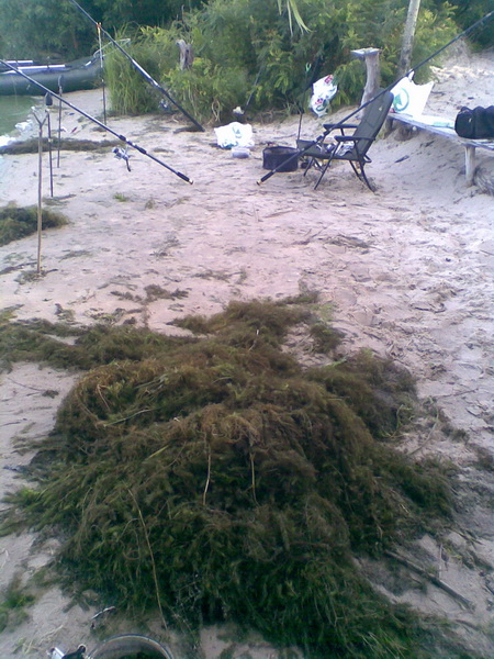 171.jpg