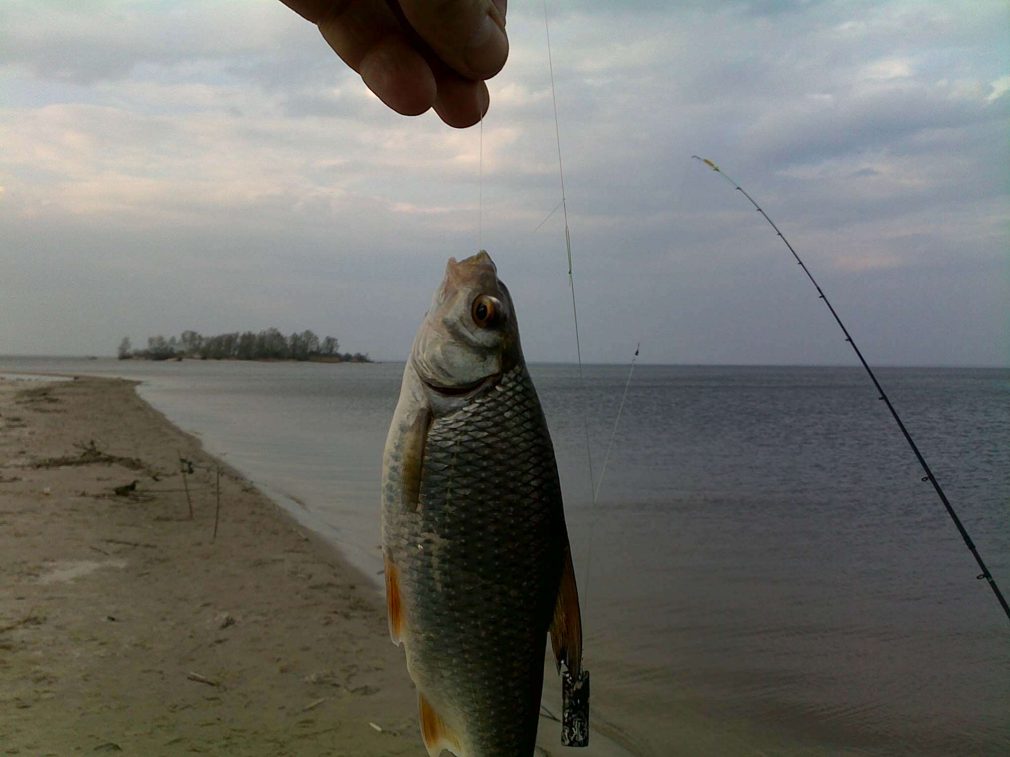 18042009035.jpg