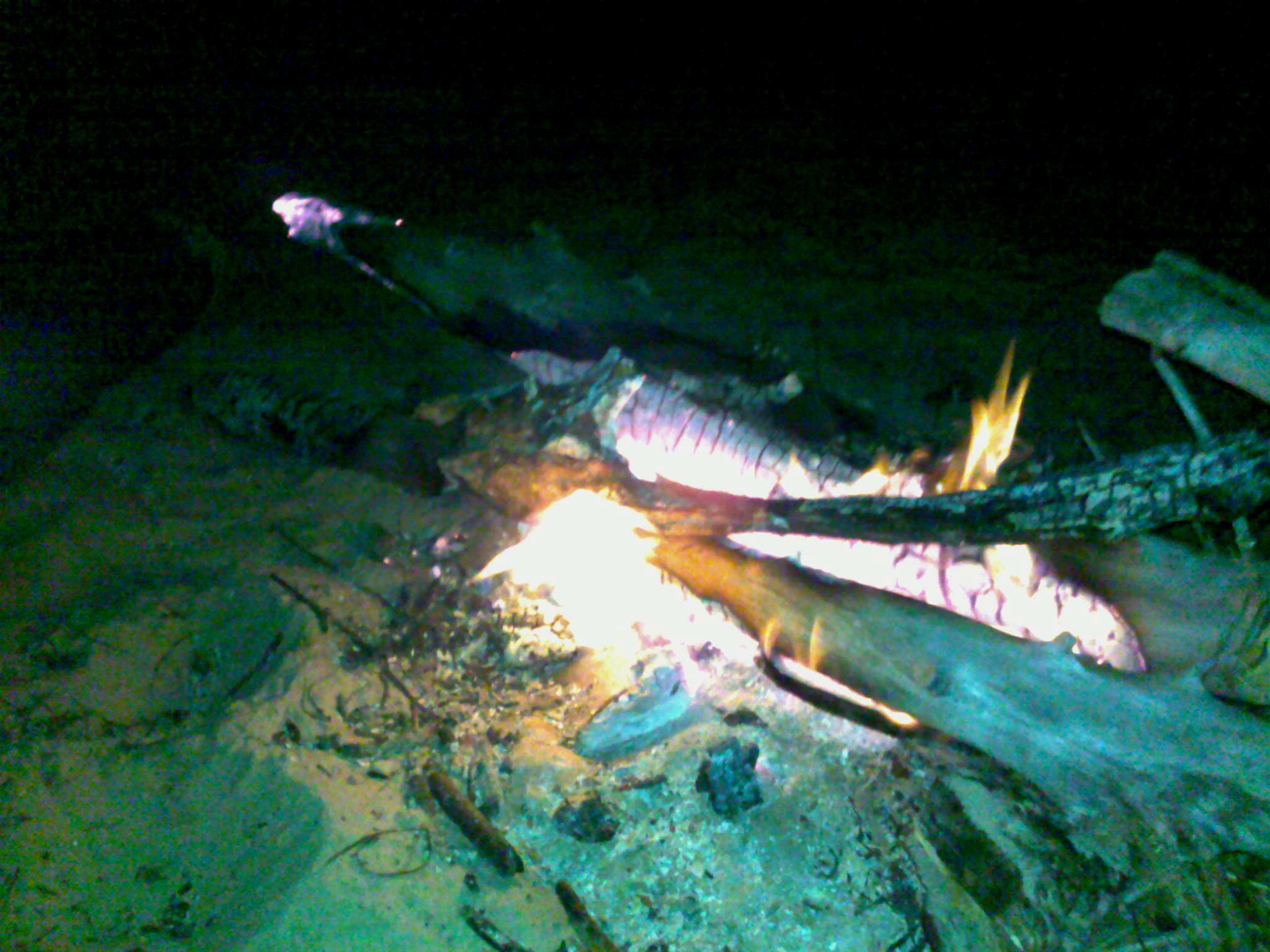 19042009038.jpg