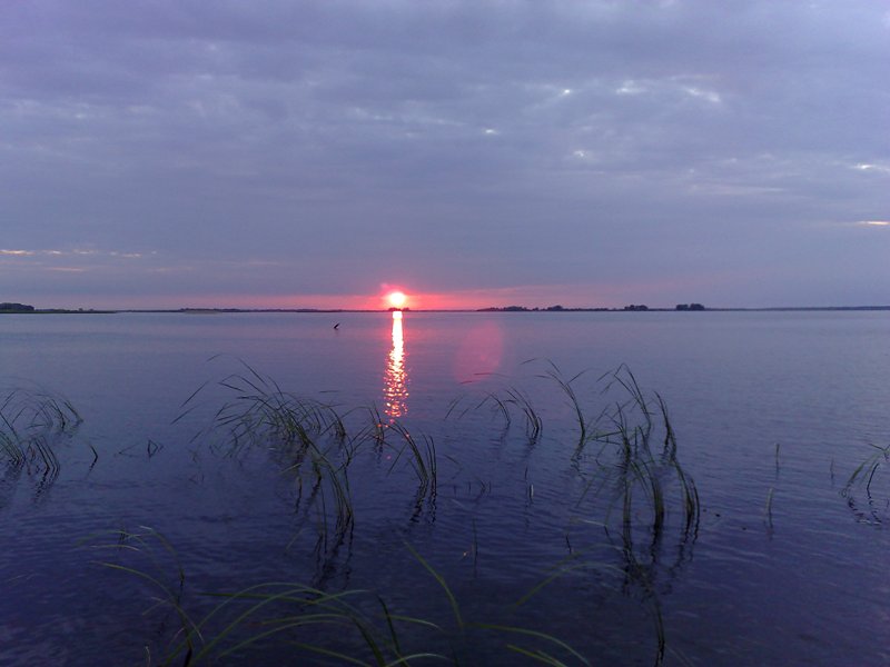20062008517.jpg