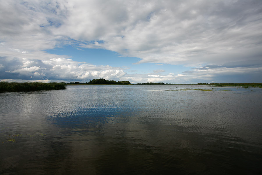 20100829-_MG_2356-16.jpg
