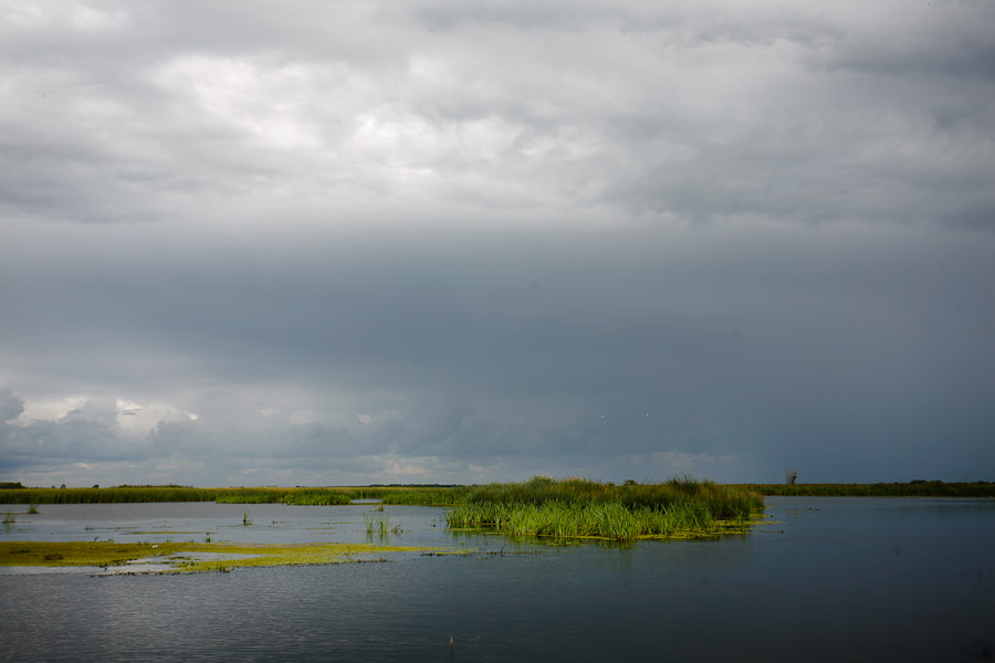 20100829-_MG_2360-18.jpg
