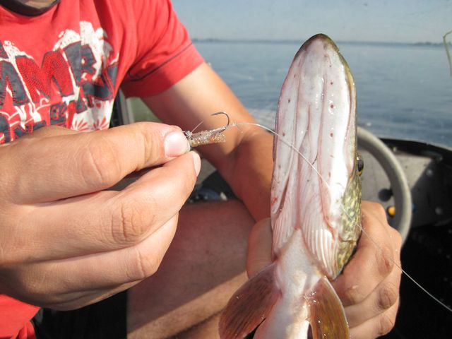2012-07-01 09.22.11.jpg
