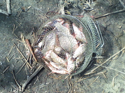 20130428.jpg