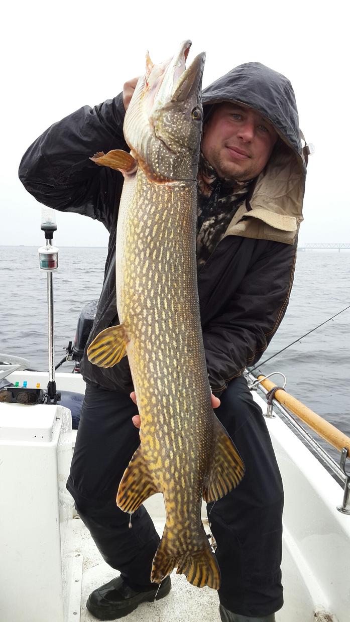 20140319_153745_resized.jpg