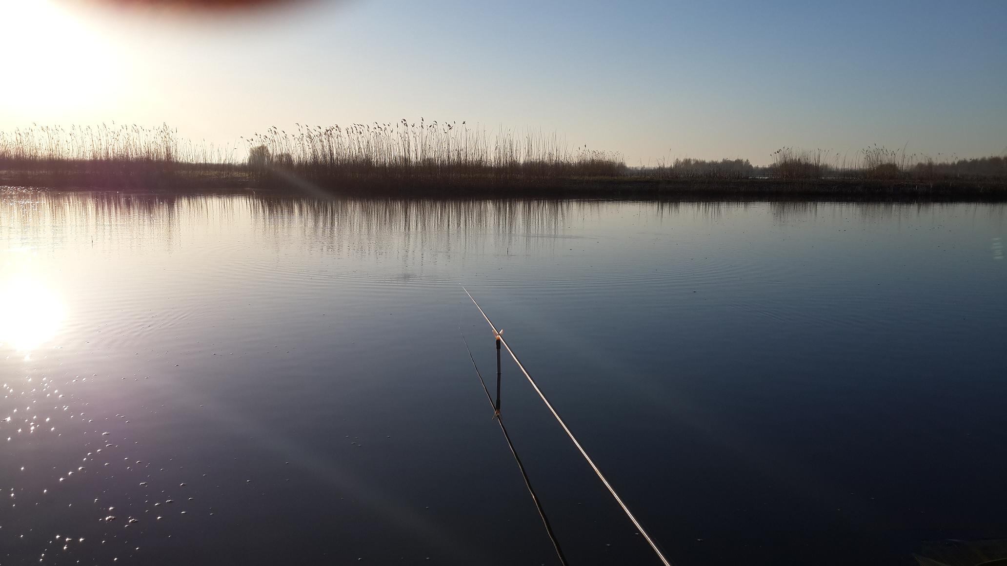 20140406_071529.jpg