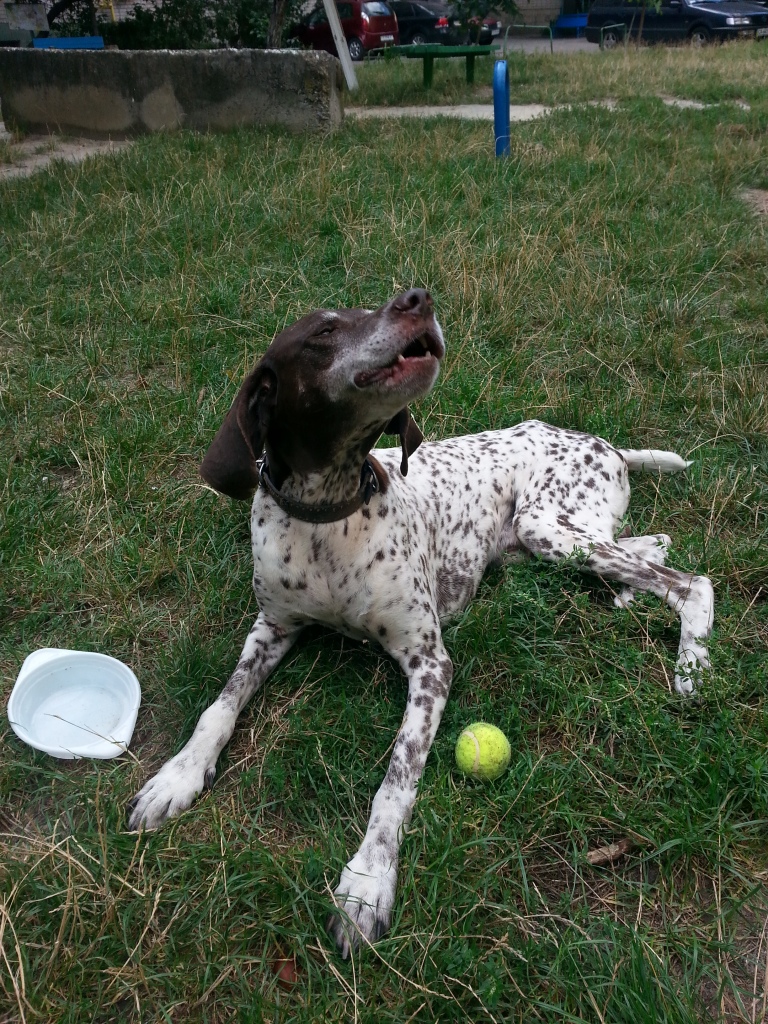 20140830_140916.jpg