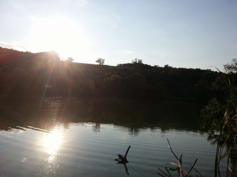 20140830_180945_thumb.jpg