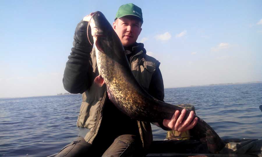 2014_03_27__14_20_30.jpg