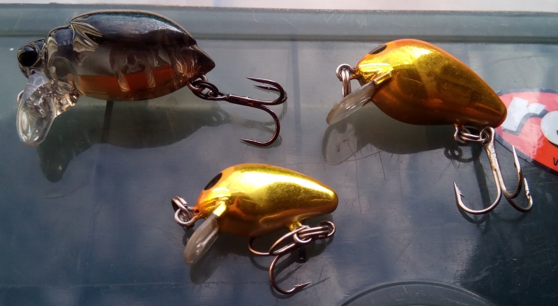 20150512185312.jpg