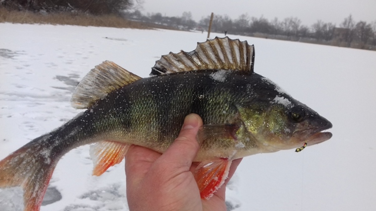 20161215_120448.jpg