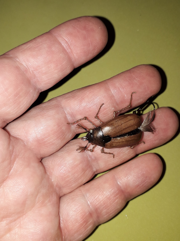 20190106_234002 (Копировать).jpg