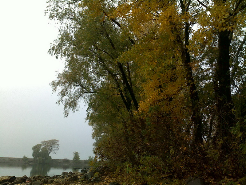 21102009108.jpg