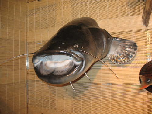 22.09.2007 132.jpg