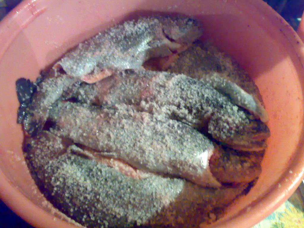 23032010337.jpg