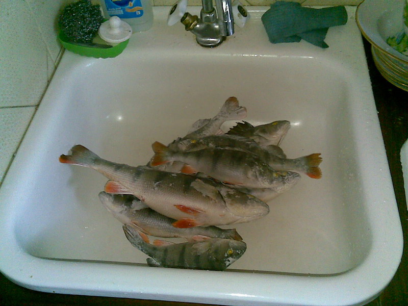 24012010(006)_resize.jpg