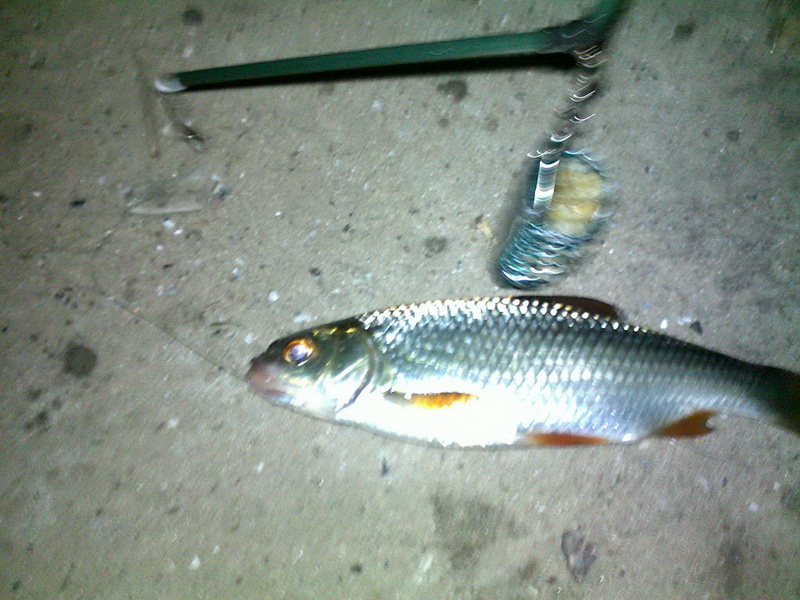 24102009142.jpg