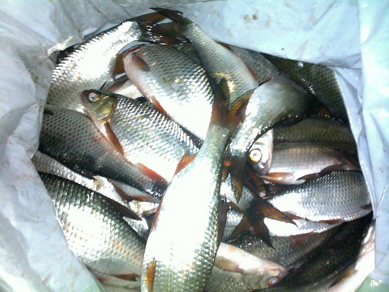 24102009145.jpg