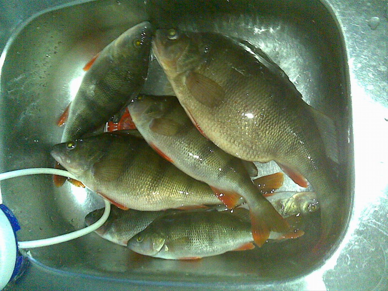 25012010(001).jpg