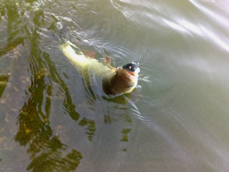 250720121243_592.jpg