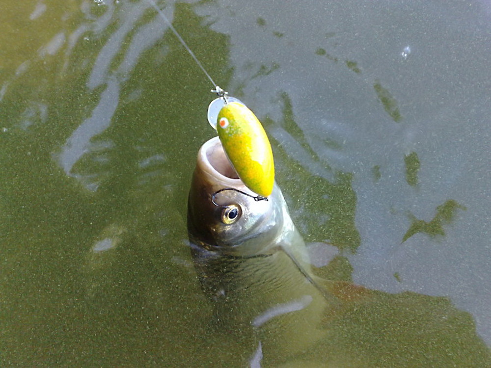 250720121246_580.jpg