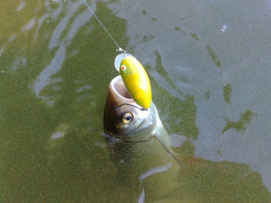 250720121246_580.jpg