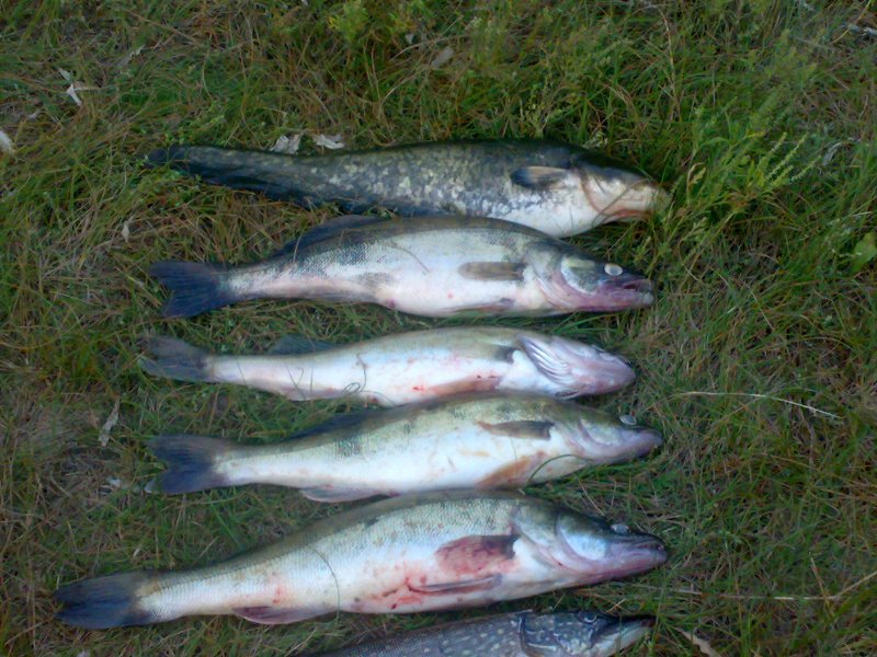 250920101265.jpg