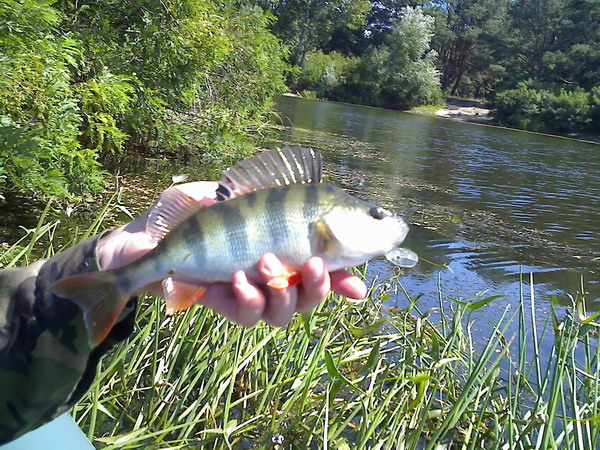 25-08-08_1311.jpg